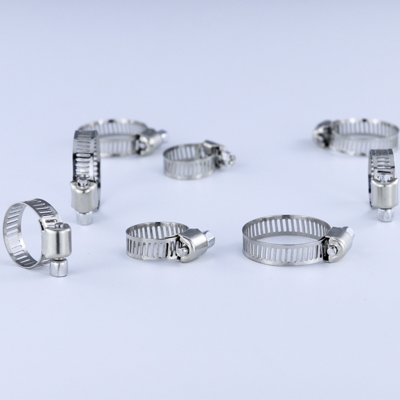 40/50Pcs Stainless Steel Hose  - Hose Clamp Assorted recension och pris